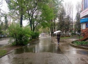 Сильные дожди обрушатся на ЕАО, есть риск подтоплений