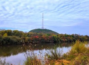 Главное за неделю: подборка статей от интернет-газеты «Время Биробиджан@»
