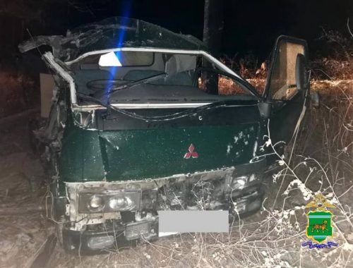 Два человека пострадали на дорогах ЕАО за выходные