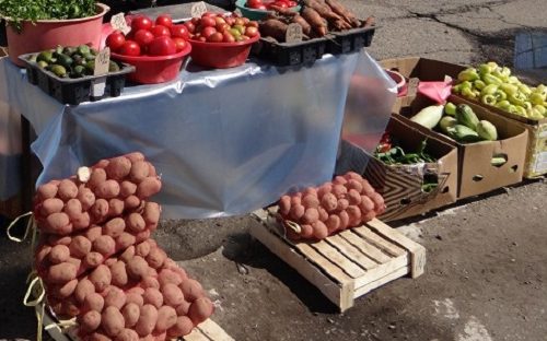 Сельскохозяйственная ярмарка завершает свою работу в Биробиджане