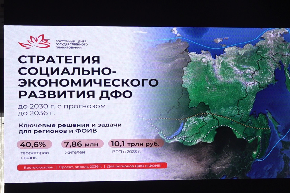 В ЕАО разработали предложения в Стратегию развития Дальнего Востока