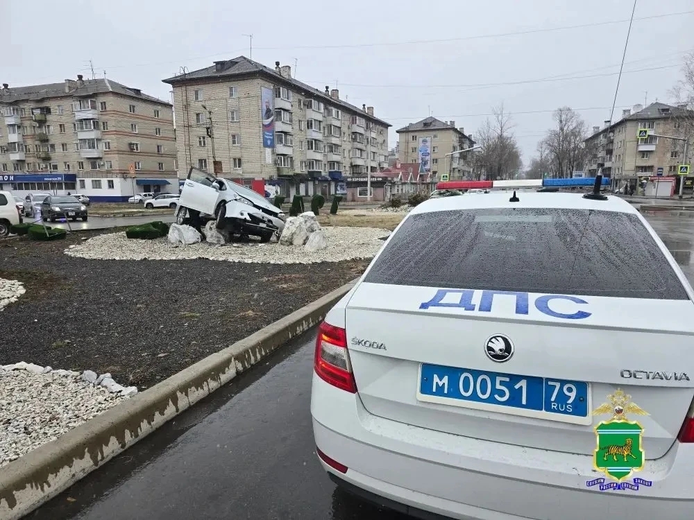Влетел в Сад воинского духа водитель в Биробиджане