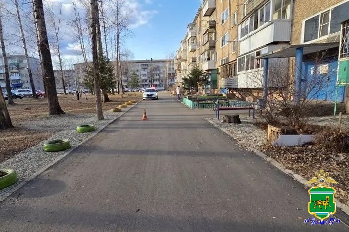 Электросамокатчик сбил 69-летнюю женщину в Биробиджане