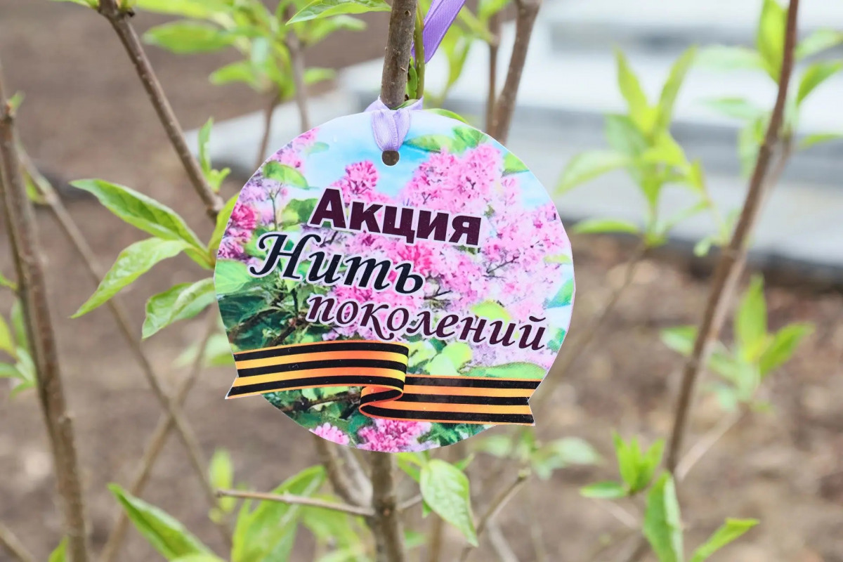 В Биробиджане высадили три тысячи кустов сирени в память о героях