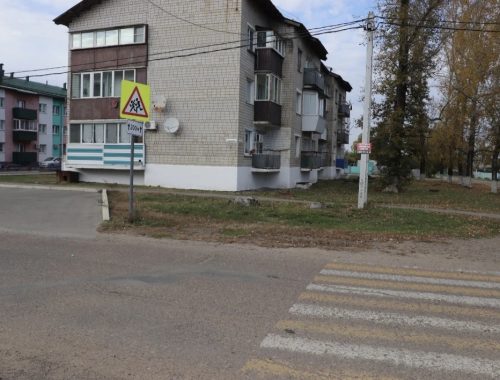 Семилетняя девочка попала под колёса автомобиля в ЕАО