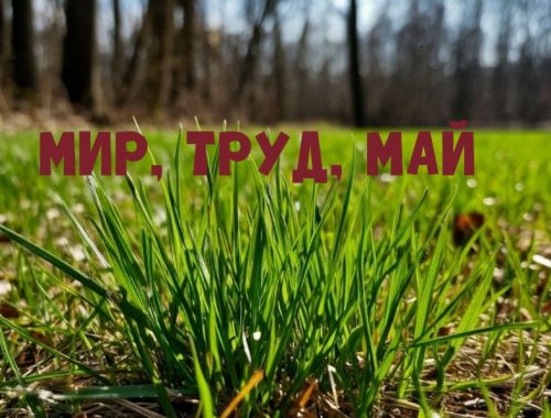 С Праздником Весны и Труда!