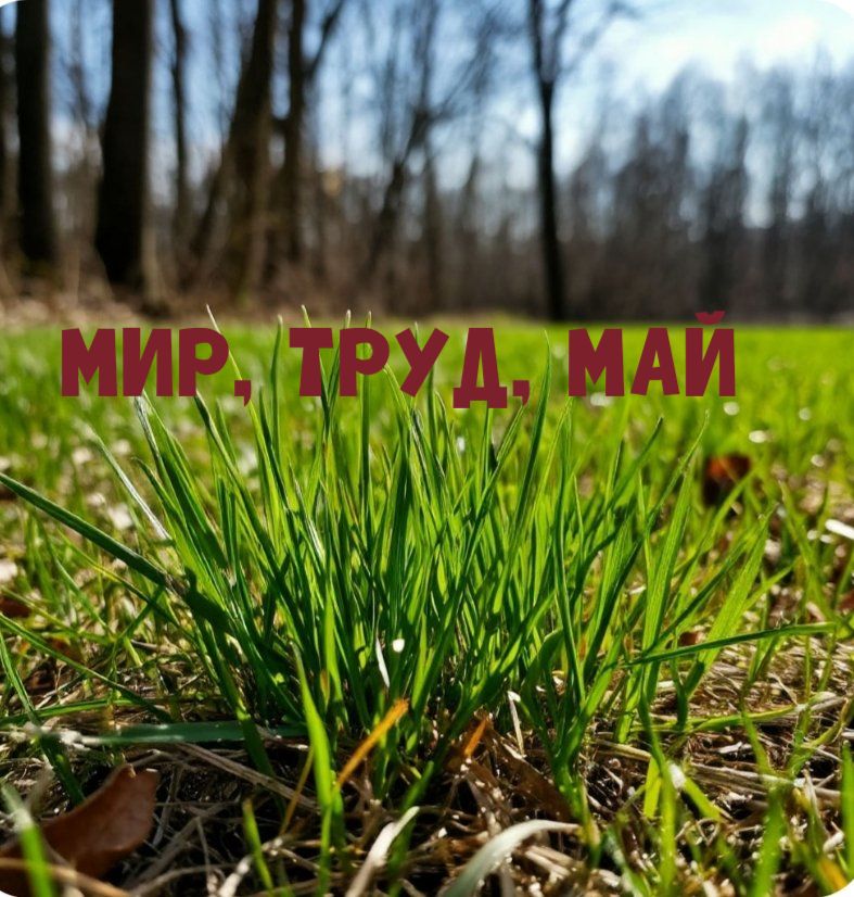 С Праздником Весны и Труда!