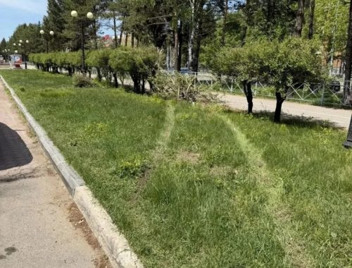 Вандалы опять «постарались» в Биробиджане