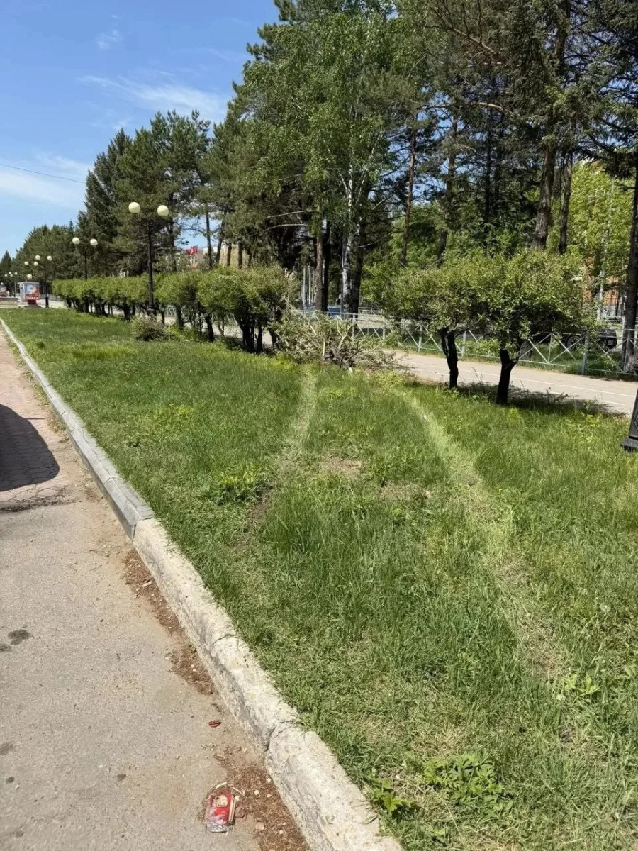 Вандалы опять «постарались» в Биробиджане