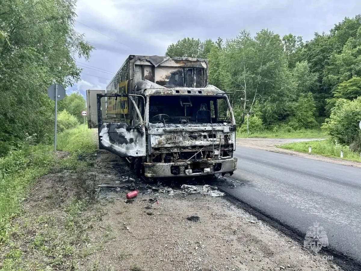 Водитель спас скот из охваченного пламенем грузовика в ЕАО