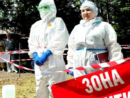 Ящур под контролем: масштабные учения провели в ЕАО