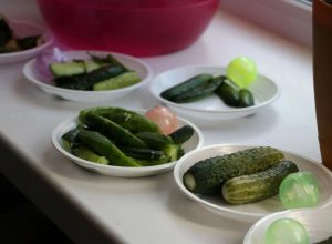 Самый вкусный малосольный огурец выбрали в селе Екатерино-Никольском ЕАО