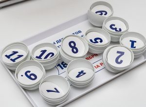 Как партии расположатся в бюллетене на выборах в Госдуму — результаты жеребьевки