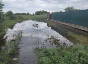 Гидрологическая обстановка в ЕАО на 15 августа