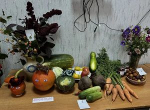 Праздник урожая прошел в городском обществе инвалидов