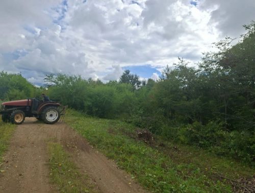 В Ленинском районе ЕАО ведется расчистка откосов дамбы