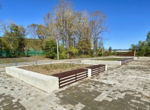 Сквер в честь участников СВО появится в ЕАО