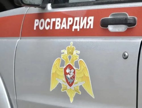 Росгвардейцы задержали биробиджанку за дебош в кафе
