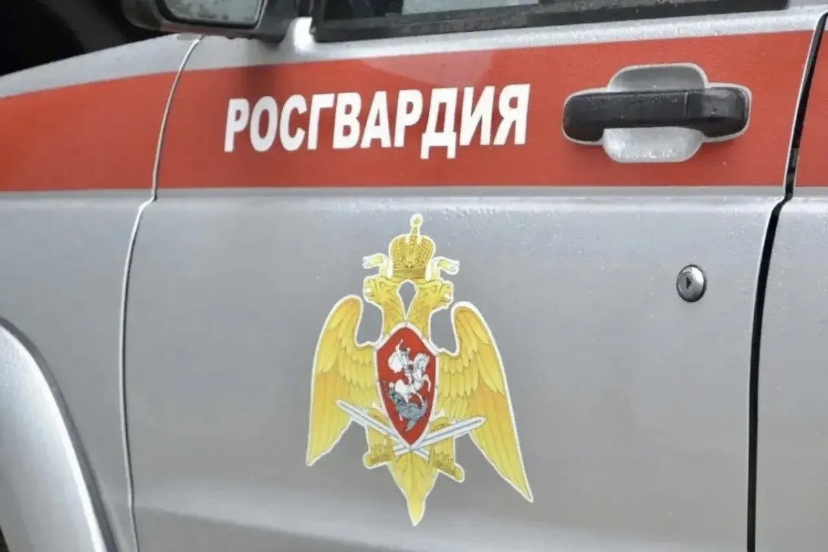 Росгвардейцы задержали биробиджанку за дебош в кафе