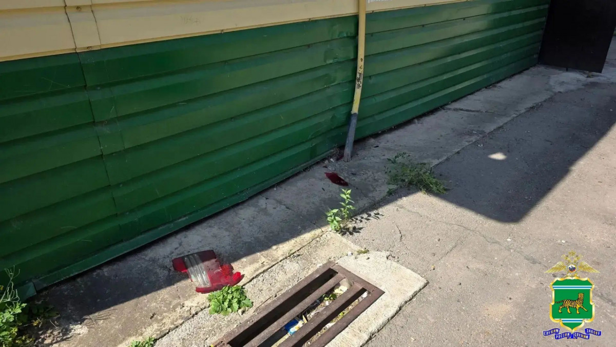 По осколку фары нашли виновника ДТП в ЕАО